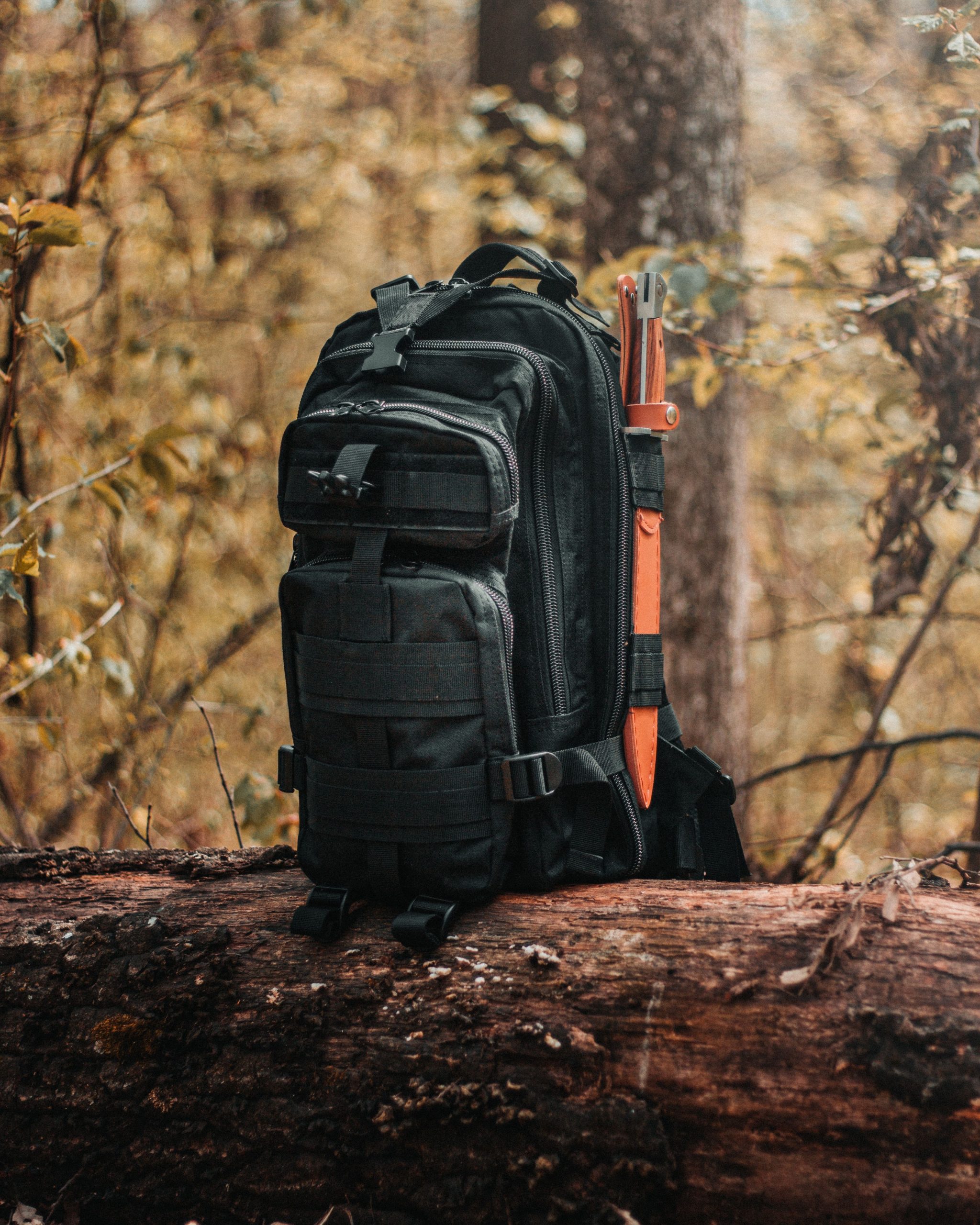 Build Your Perfect Survival Kit for Hiking Adventures